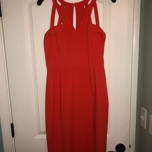 BCBG Dress